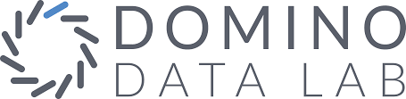 Domino Data Lab